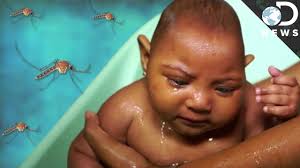 Nacen 3 bebés con defectos congénitos por Zika
